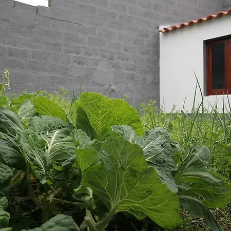 Prázdninový dům Casa Azul Natura