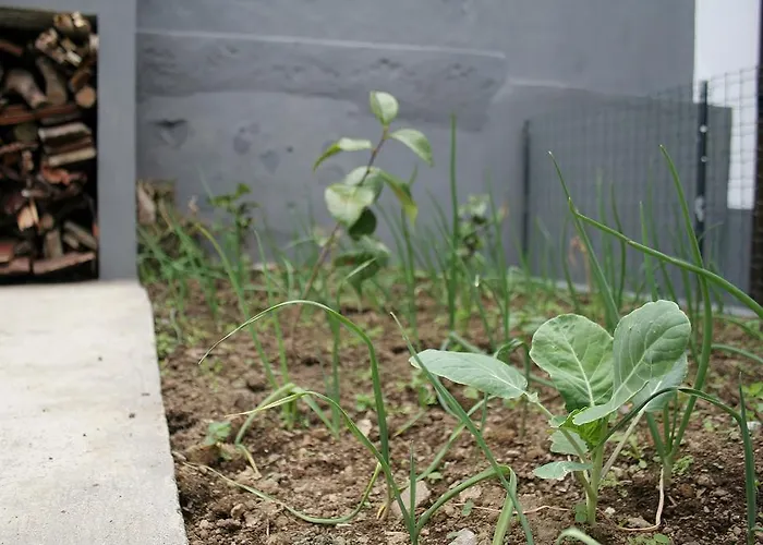 Casa Azul Natura Holiday home