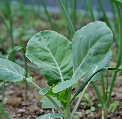 Casa Azul Natura Holiday home *