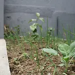 Casa Azul Natura בית נופש
