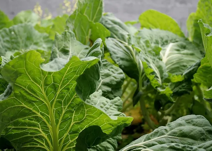 펜션 Casa Azul Natura Ponta Delgada