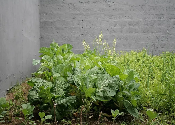 Casa Azul Natura 펜션 *