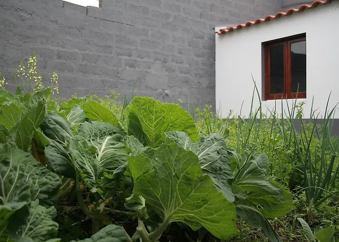 펜션 Casa Azul Natura